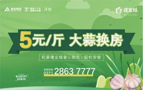 今日头条大蒜农爆料,丰收却难卖，蒜农心声引关注  第2张